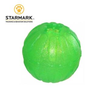 Starmark Chew Ball