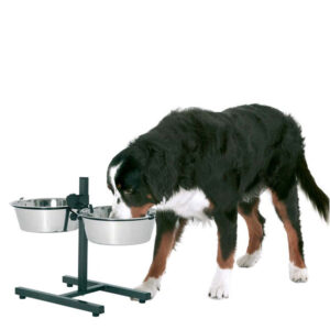 Flamingo Otis Plus M