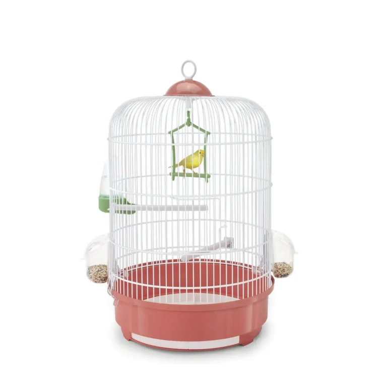 Toby Lex Krletka Milly fi33x48 cm