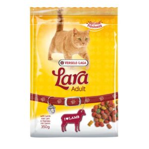 Adult-with-Lamb