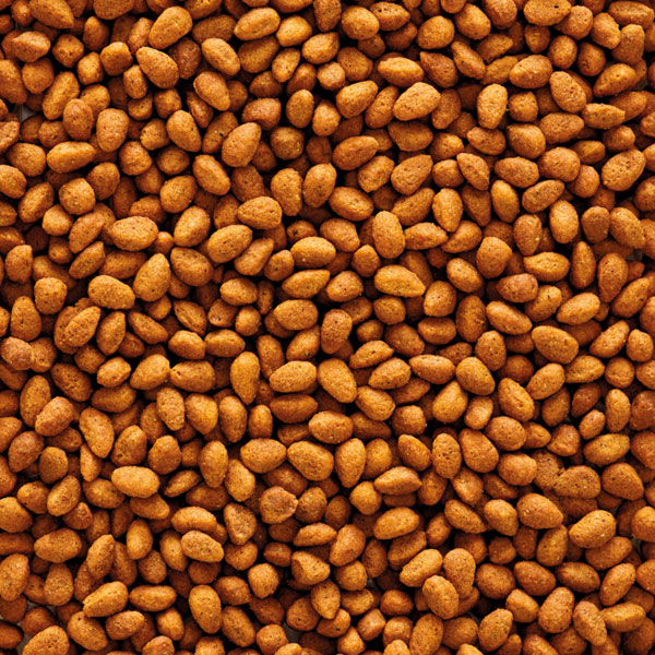 Toby Lex Nutribird G14 Original 1 kg ( rinfuza )