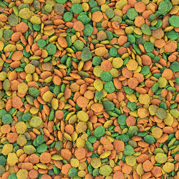 Toby Lex Nutribird G14 Tropical 1kg (rinfuza)