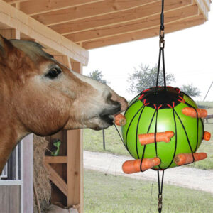 Terapijska lopta za konje