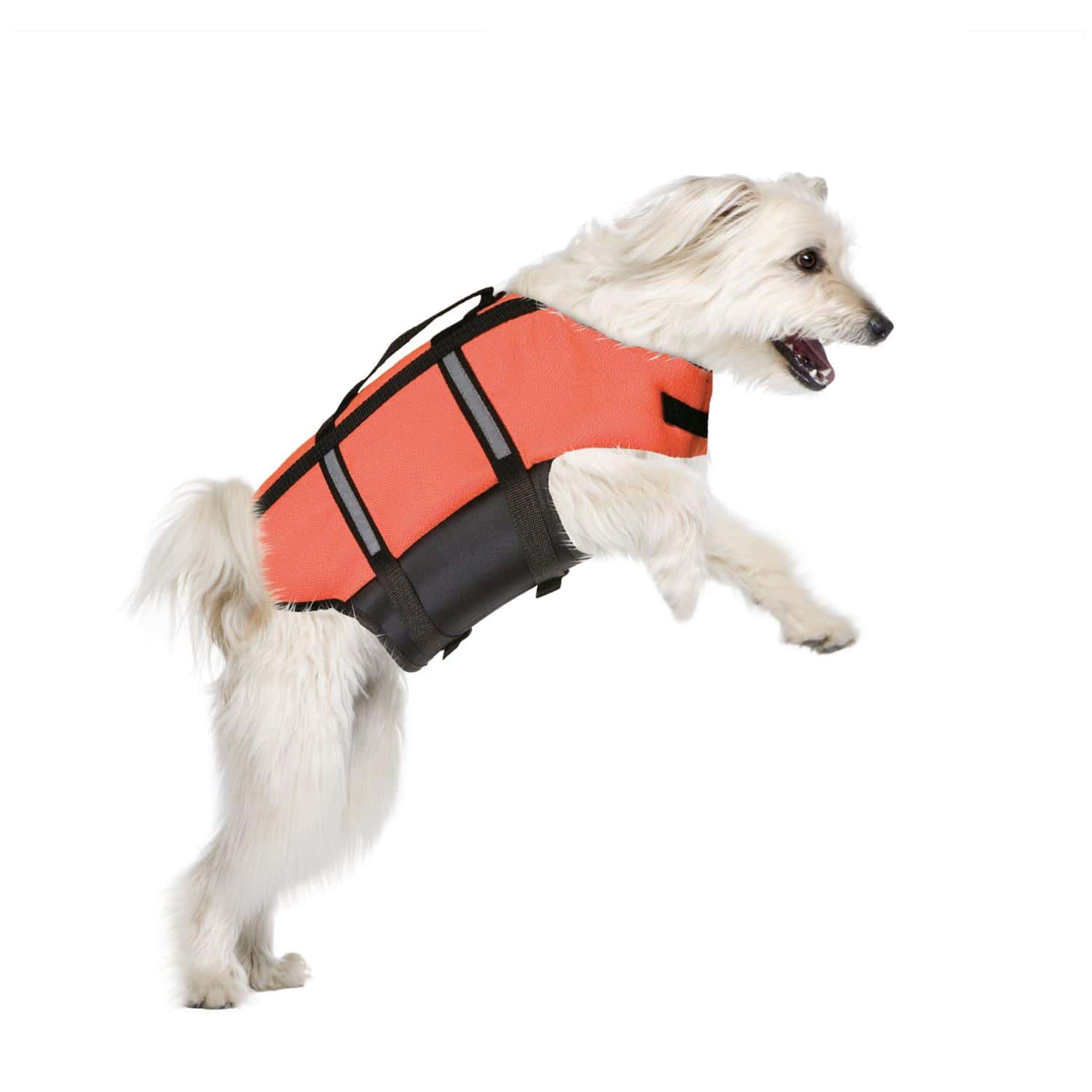 Prsluk za plivanje za pse Flamingo Marinus Fluo narančasti 1 Prsluk za plivanje za pse Flamingo Marinus Fluo narančasti