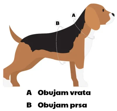 matis tablica slika hr 2