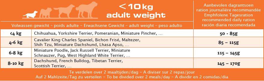 Euro Premium Adult Small Janjetina 3kg