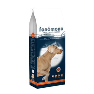 Fenomeno