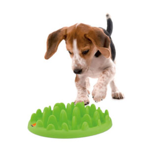 Karlie Interaktivna Posuda za Sporo Hranjenje