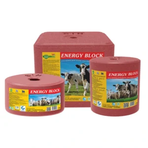 Energy Block
