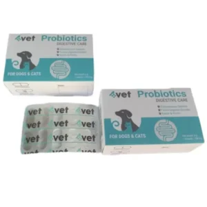 4VET Probiotics Digestive Care