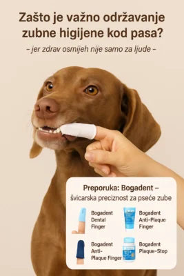 Zašto je važno održavanje zubne higijene kod pasa?