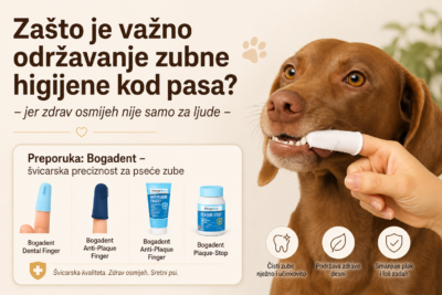 Zašto je važno održavanje zubne higijene kod pasa?