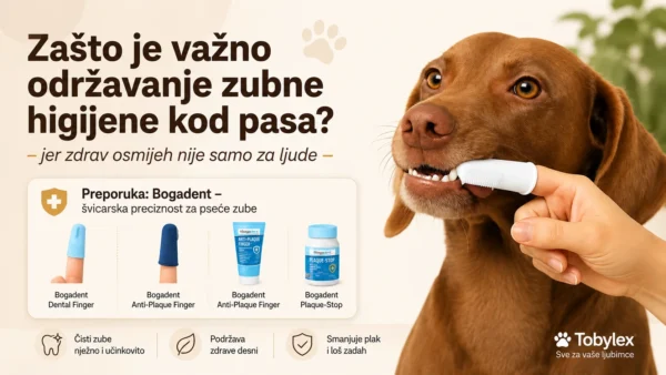 Zašto je važno održavanje zubne higijene kod pasa?