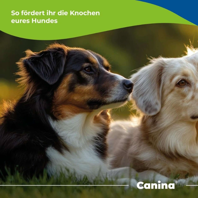 Canina Calcium Carbonatum tbl. 350 g Canina Calcium Carbonatum tbl.