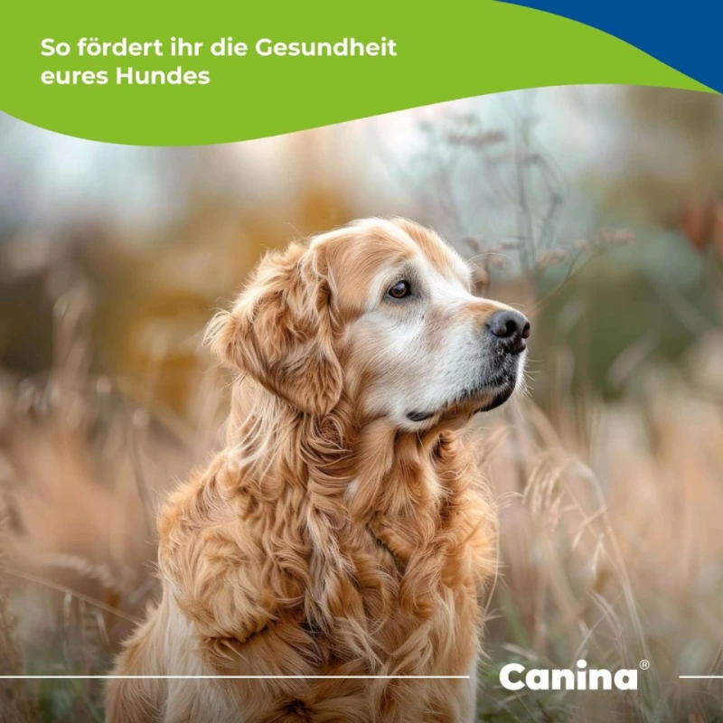 Canina V25 vitaminske tablete za pse 200 g Canina V25 vitaminske tablete