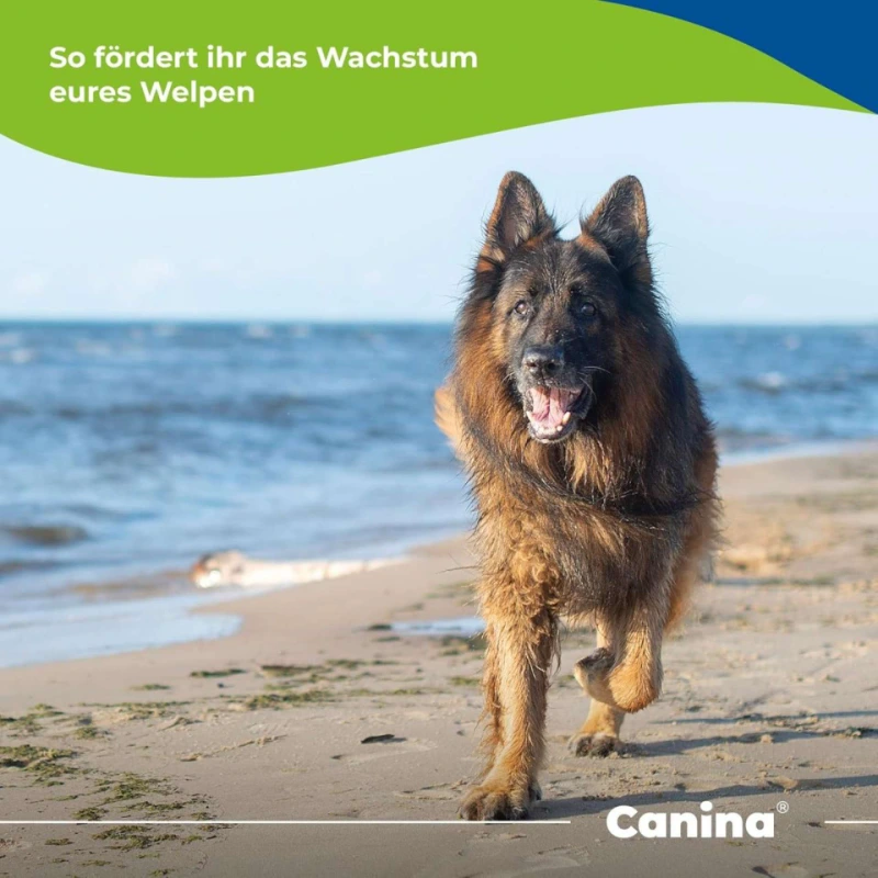 Canina Welpenkalk tablete za štenad 350 g Canina Welpenkalk