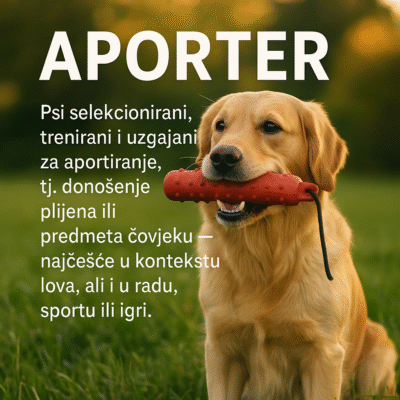 Aporter