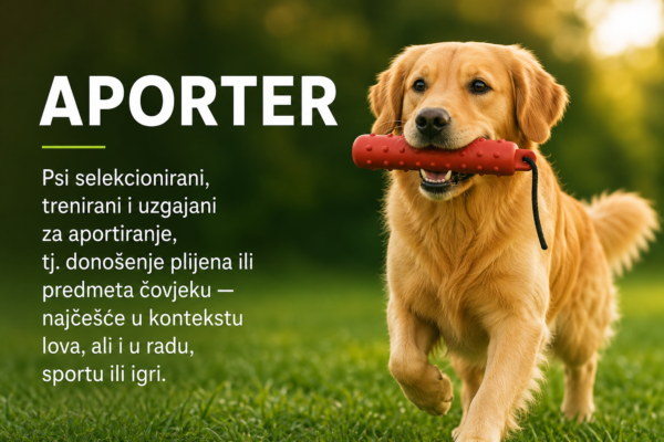 Što su to aporteri ?