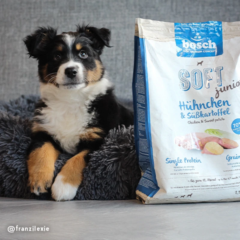 Bosch Soft Junior piletina i slatki krumpir 12,5kg Bosch Soft Junior piletina i slatki krumpir