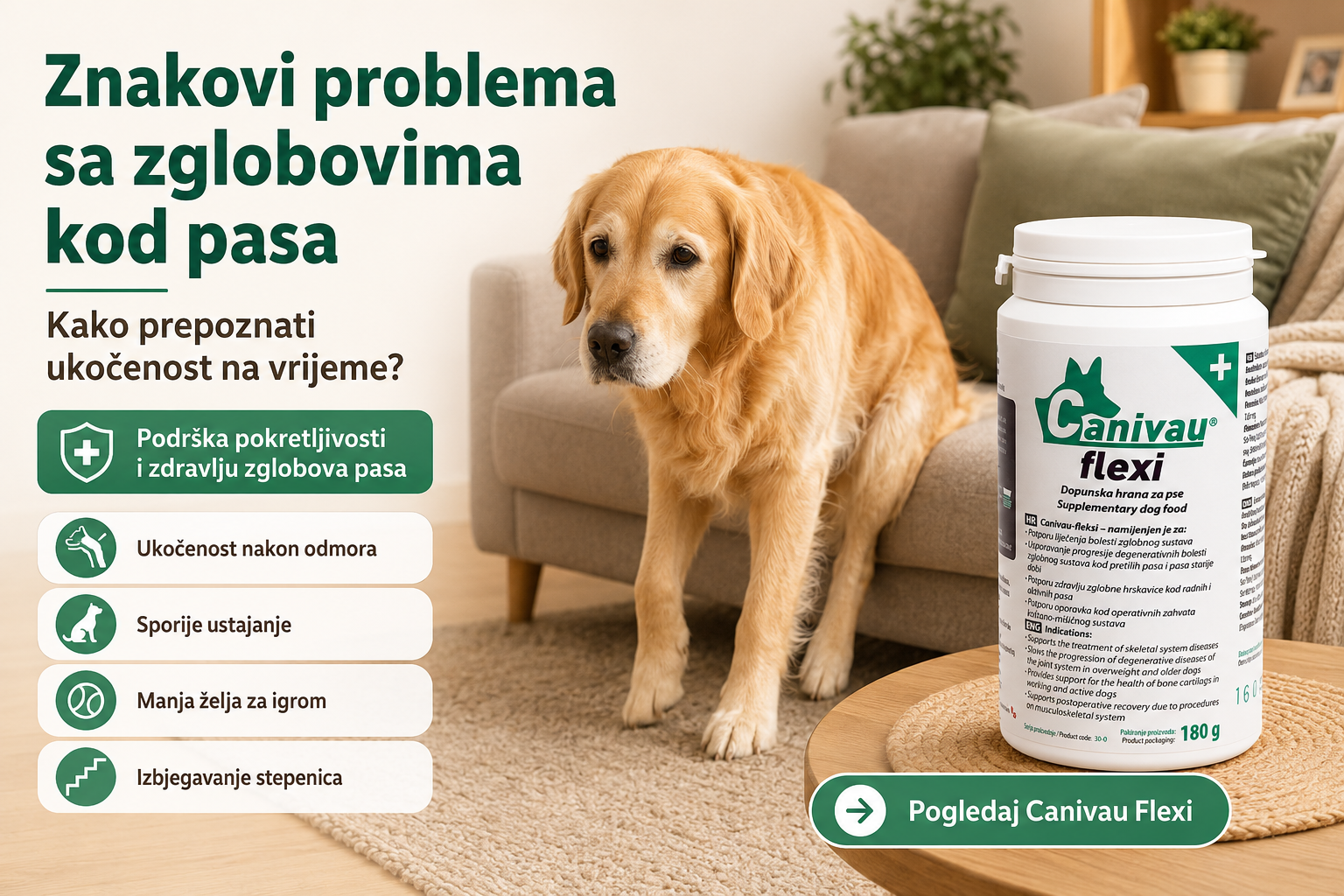 Znakovi istrošenih zglobova kod pasa…