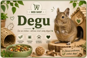 Degu