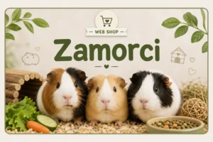 Zamorci
