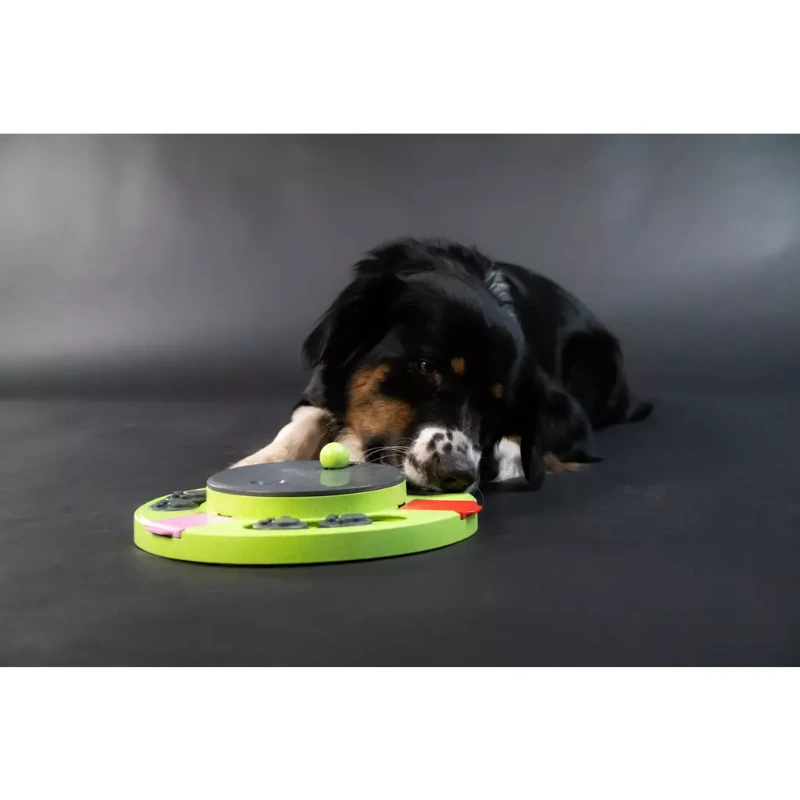 Eat Slow Live Longer Puzzle Circle interaktivna igračka za pse Eat Slow Live Longer Puzzle Circle