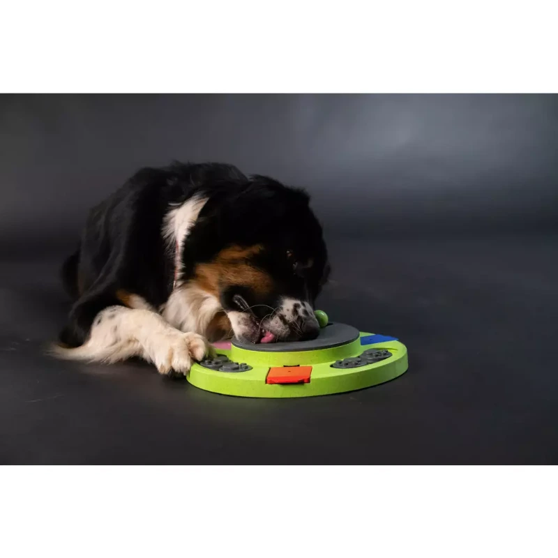 Eat Slow Live Longer Puzzle Circle interaktivna igračka za pse Eat Slow Live Longer Puzzle Circle