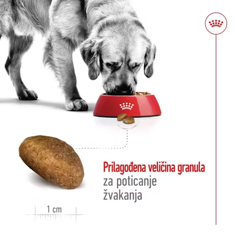 Royal Canin Maxi Adult 12 kg Royal Canin Maxi Adult