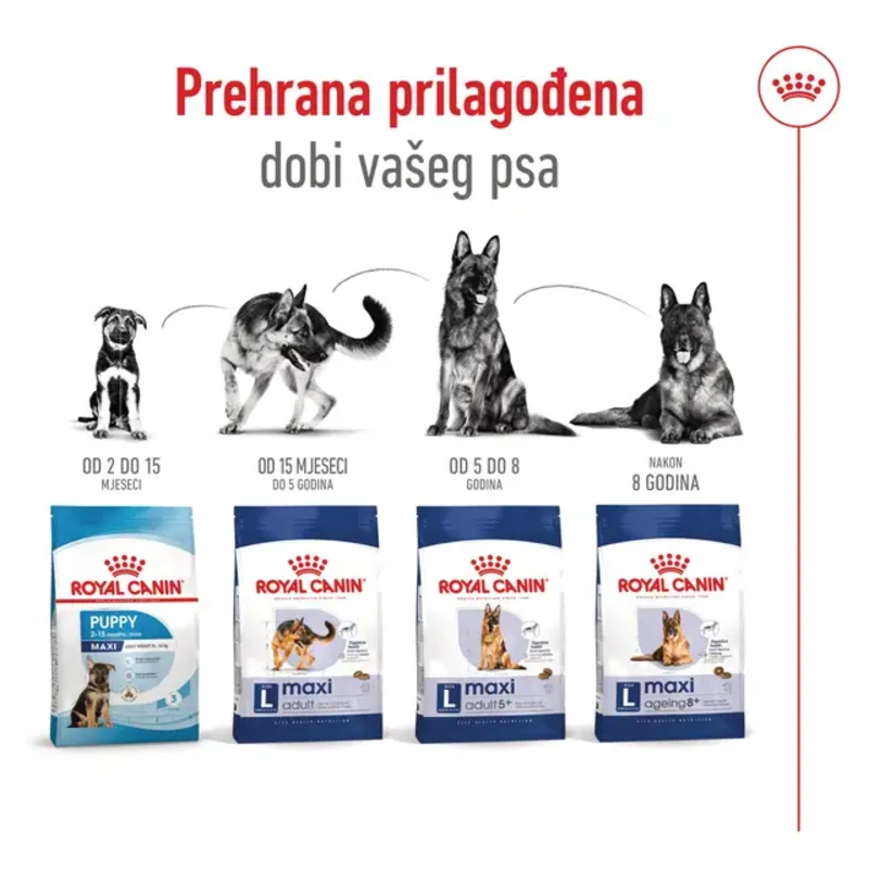Royal Canin Maxi Adult 12 kg Royal Canin Maxi Adult