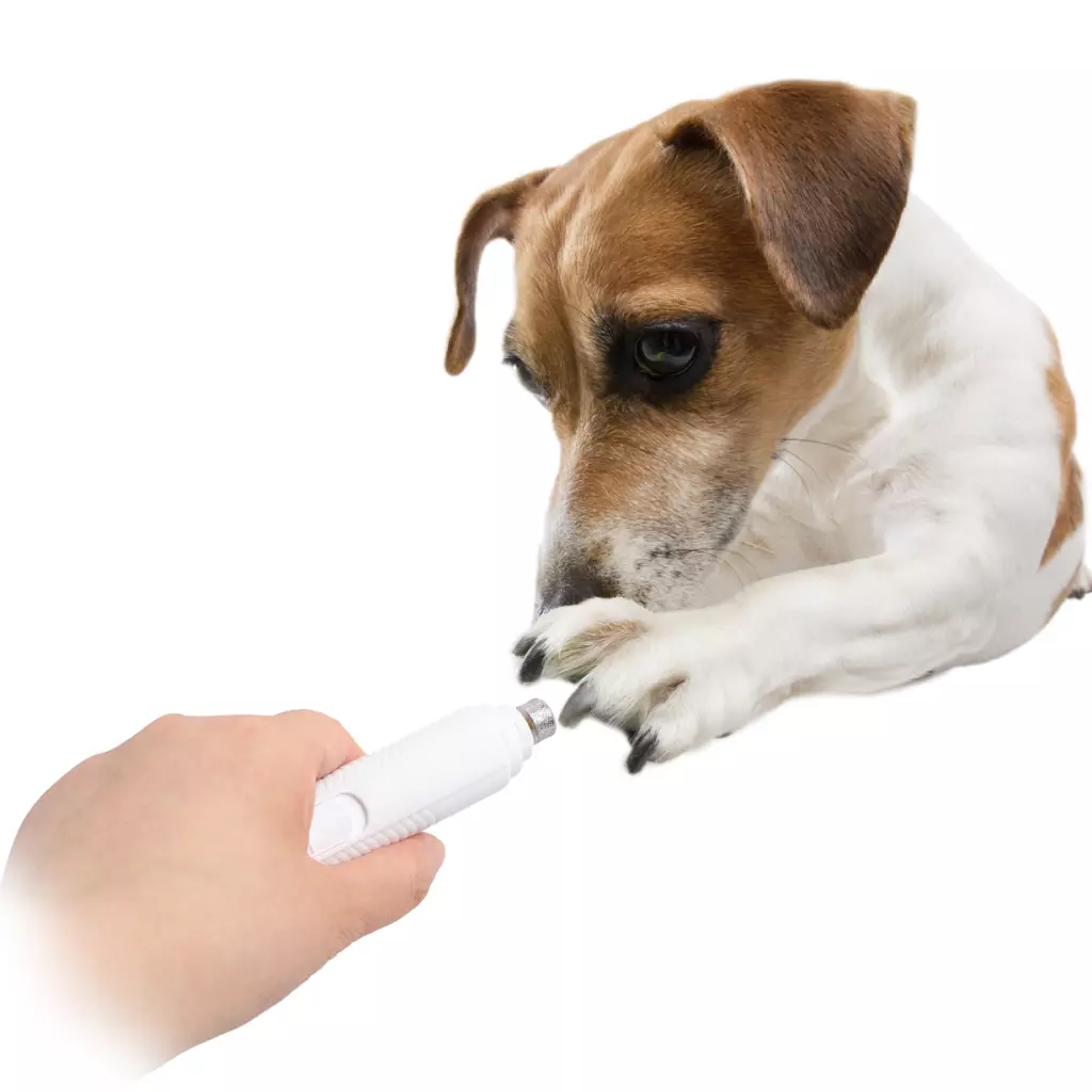 AFP Pet Salon brusilica za nokte AFP Pet Salon brusilica za nokte