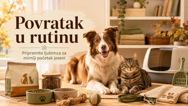 Povratak u rutinu: pripremite ljubimca za mirniji početak jeseni